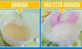 Teste Gravidez Gravtest Click  Farmácia Rosário - Desde 1931