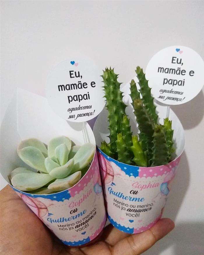 plantinhas para cha de bebe