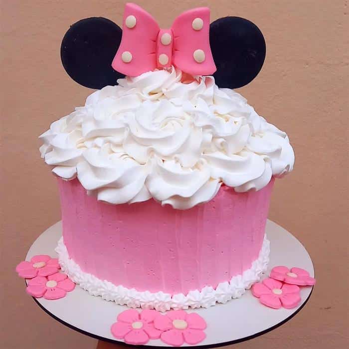 smash the cake minnie rosa