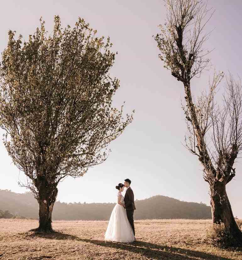 Pré wedding no campo com árvores