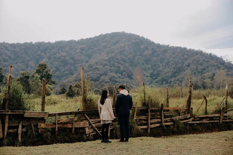 Pré wedding no campo de costas