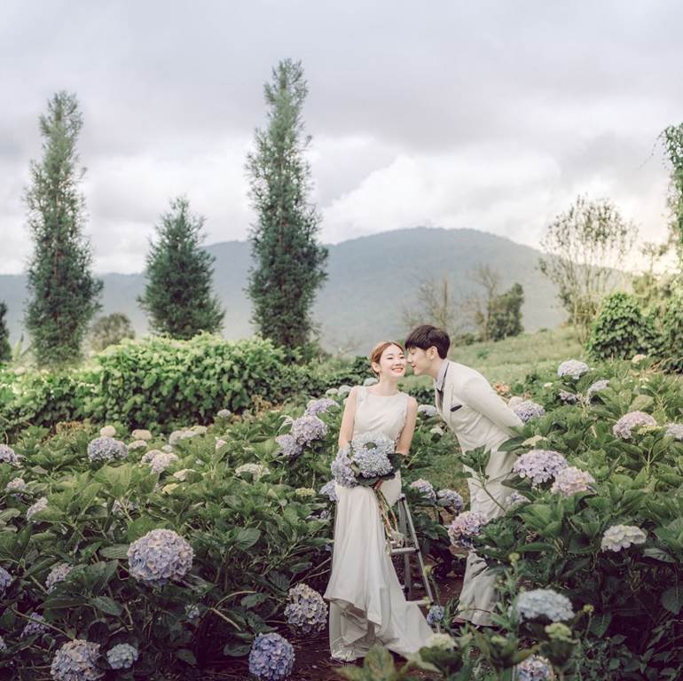 Pré wedding com flores no campo